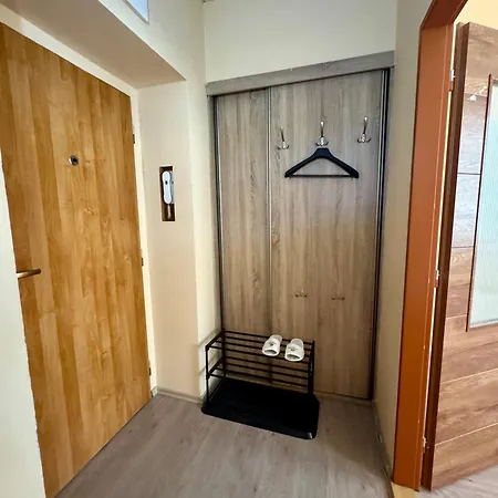 Golden X Cross Apartment Karlovy Vary